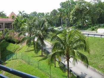 Paradise Lagoon Apartment *